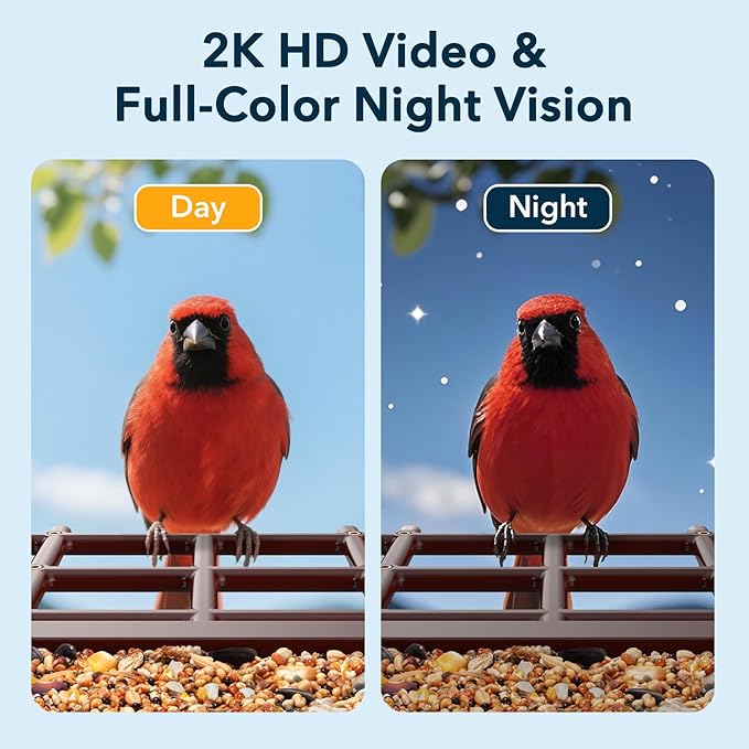 PeckCam® Bird Feeder with Camera Solar Powered, AI Identify & Auto Capture, 2K HD Live Video Smart Bird Feeder Camera Instant Notifications in Backyard, Gift Bird Lovers