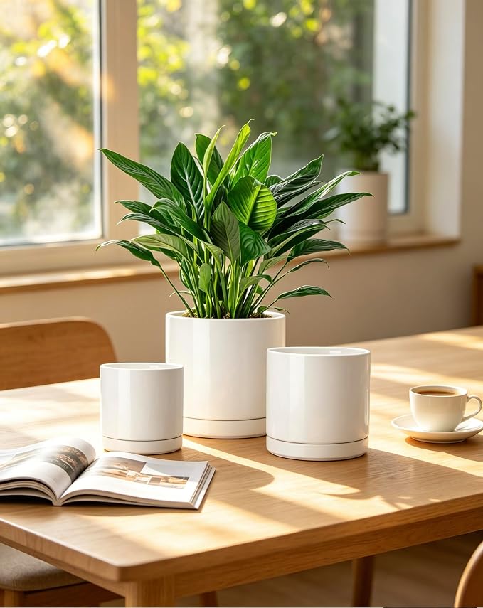 vancasso Ceramic Plant Pots, 3 Piece Planters for Indoor Plants, 4.25+5.25+6.25 Inch Flower Pots with Drainage, Plant Pots Indoor for Succulent, Pothos, Snake Plant and Money Tree, Etc (White)