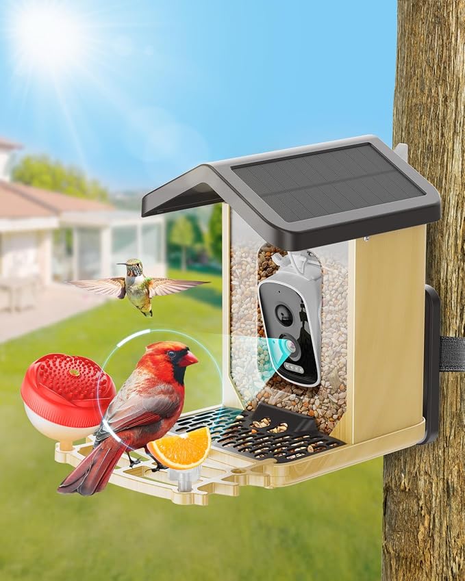 Bird Feeder with Camera Solar Powered, Bird Feeders for Outdoors with DIY Add-ons - Honey Jar & Fruit Fork & Squirrel Proof Net & 32GB SD Card, AI Identify Birds, Ideal Present for Birdlover