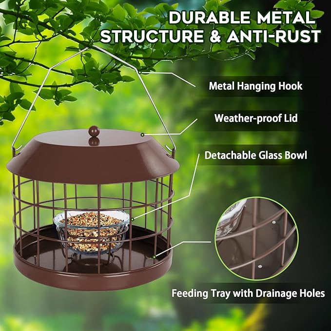 Gbekery Caged Bluebird Feeder for Mealworms with Glass Bowl, Squirrel Proof Bird Feeder for Small Birds Only, Detachable Hook, Large Space, Outdoors Weatherproof, Metal, Brown