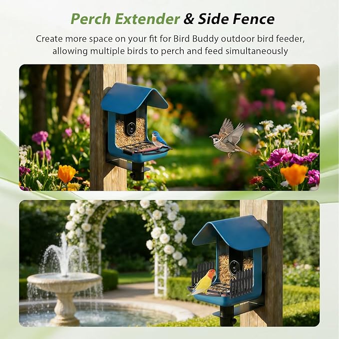 Versatile Bird Feeder Wall Mount for Bird Buddy, with Metal Bird Seed Guard/3 Pcs Perch Extender & Side Fence/Metal Suet Ball Holder, for Outdoor Durable, Weather-Proof