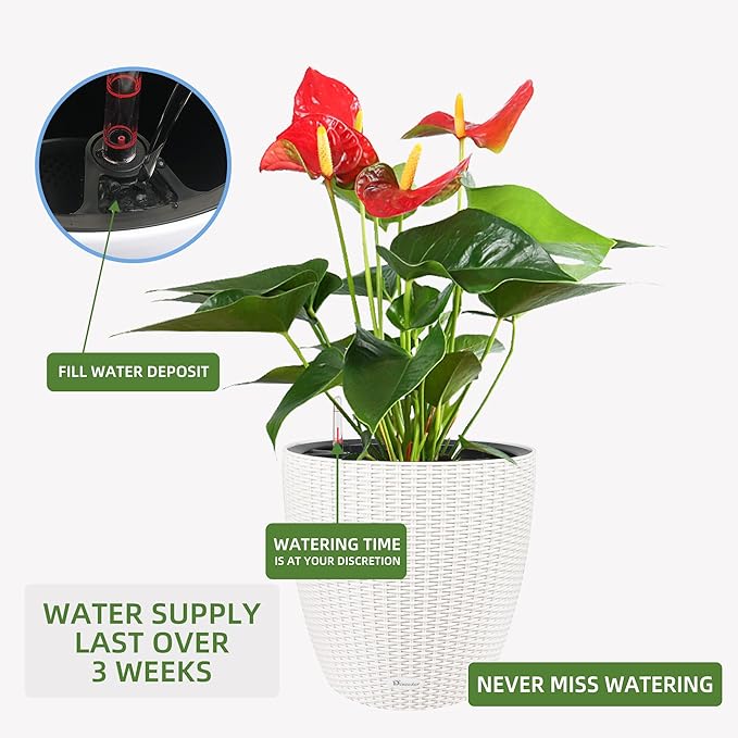 Dexceder 15x14 Self Watering Planter with Wheels (Ivory White Rattan) | Inner Pot Design, Thickened Large Floor Standing Flower Plant Pot with Water Level Indicator Indoor Outdoor