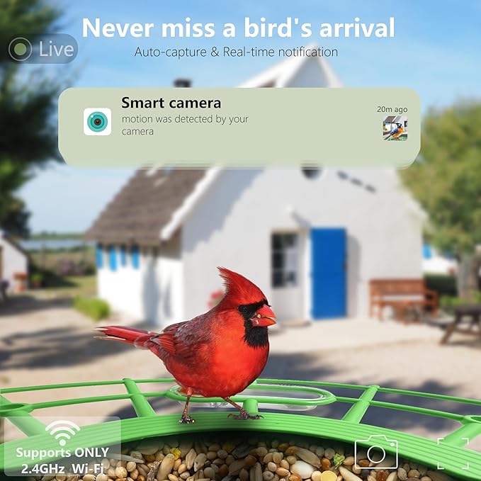 Bird Feeder with Camera, AI Birds Identification, Solar Powered, Live View, Instant Alerts, Capture Bird Videos, 2K HD Camera, Ideal Gift for Family and Enthusiasts (Green)