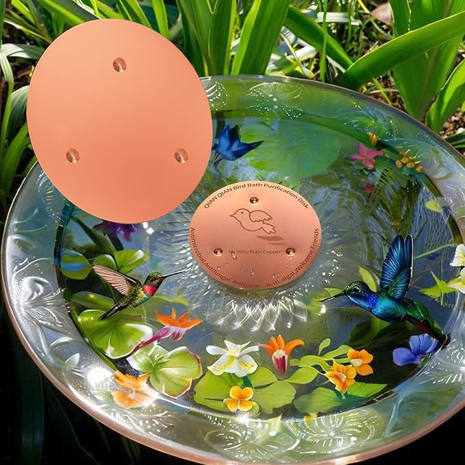QIANQIANBird Bath Copper Disk, 0.6mm Reinforced 99.99% Pure Copper Cleaning Disk for Physical Safe Clean Water All-Season, Universal Fit for Outdoor Birdbaths, Bowl, Bird Bath Solar,2-Pack