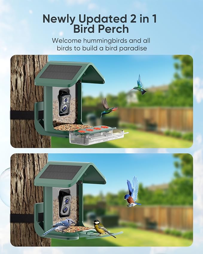 Bird Feeder with Camera Solar Powered: Smart Hummingbird Feeder for Backyard Tree - 2K Live AI Identify Auto Capture Bird Video - WiFi Bird Watching Feeders Gift for Mom Dad