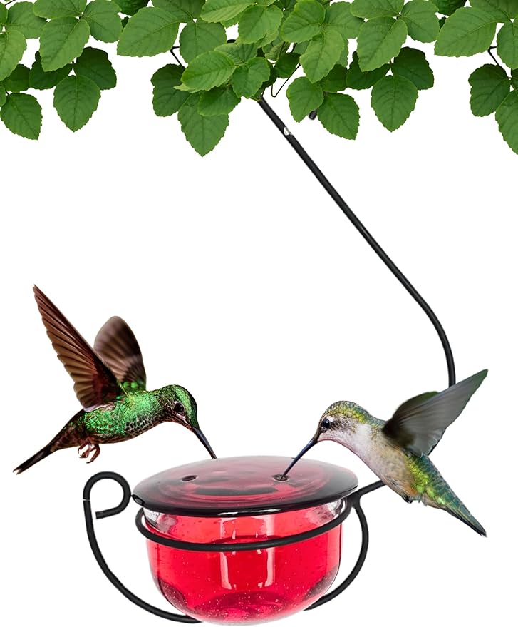 Glass Hummingbird Feeder - Handcrafted Clear Glass Bowl with Red Cap - 4 Feeding Ports - Decorative Hanging Hook - Easy Clean Outdoor Hummingbird Feeder for Nectar