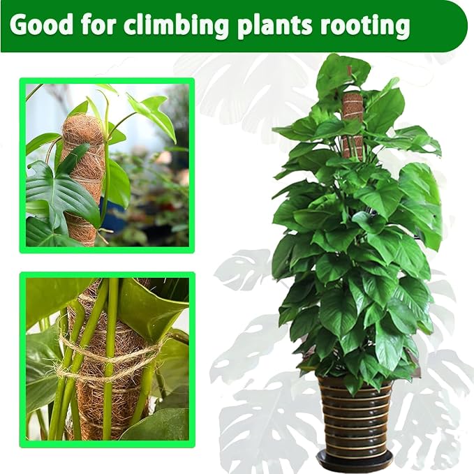 Moss Pole, 4 Pack 17Inch Monstera Plant Support for Climbing Plants Accessories Indoor -Stackable Moss Poles Plant Support Stakes -Coir Plant Pole Sticks for Potted Plants -Pothos, Tall Plant Trellis