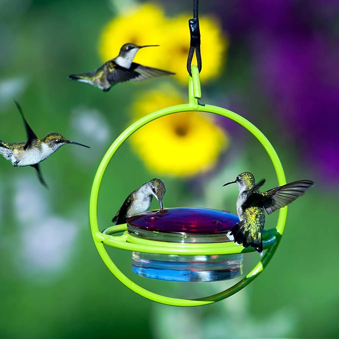 Mosaic Birds Hummingbird Feeder for Outdoors Hanging, 3.4 OZ Hummingbird Feeders, Glass Bowl with 4 Feeding Ports, Leak Proof Lid & Circular Perch, Bird Feeder (1, Lime)