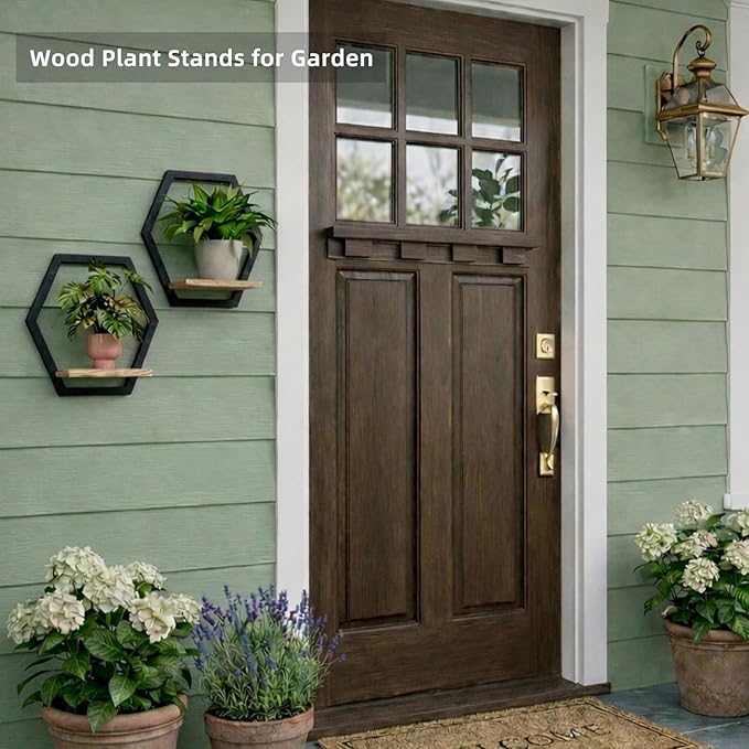 3 Packs Wall Plant Stand with Board (2 pack black)