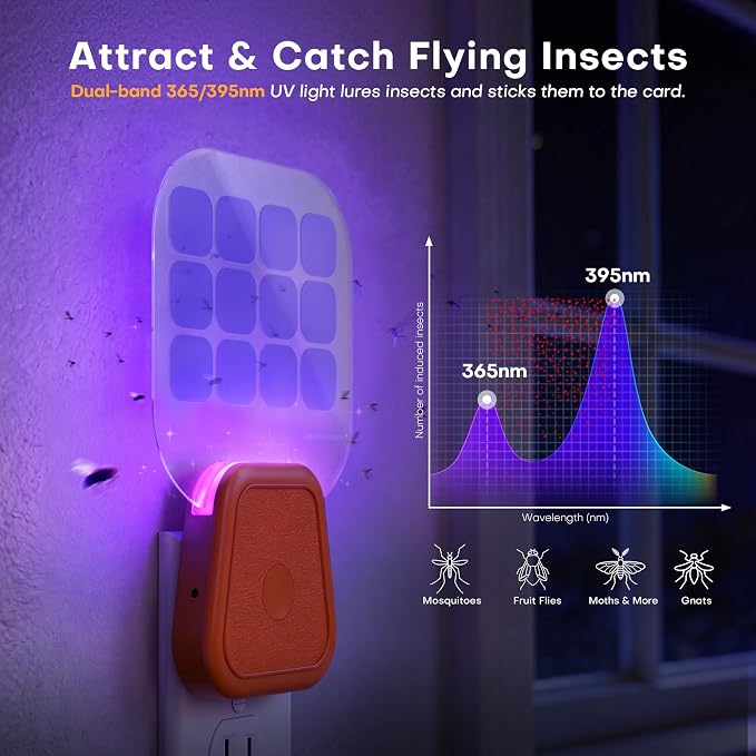 Fruit Fly Traps,Plug in Fly Trap with UV Light & Glue Cards,Fly Trap Indoors for Gnats, Mosquitoes,Moths & More,Insect Trapper for House Kitchen Garage, 2 Pack & 6 Refills