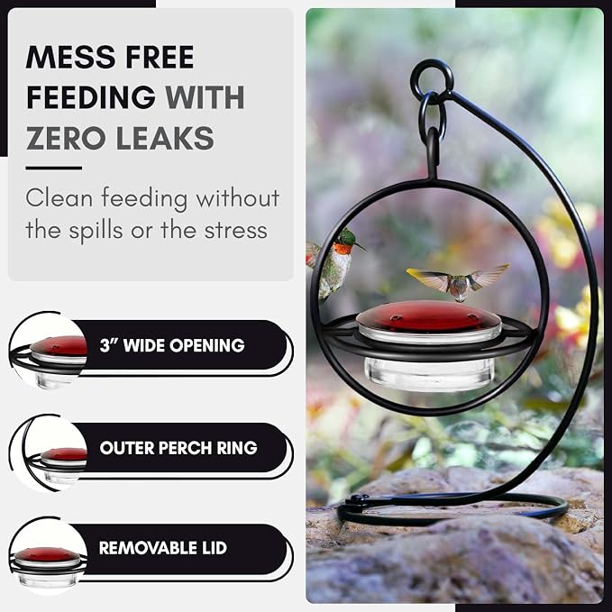 Hummingbird Feeder for Outdoors Hanging, 3.4 OZ Hummingbird Feeders, Glass Bowl with 4 Feeding Ports, Leak Proof Lid & Circular Perch, Bird Feeder (1, Black)