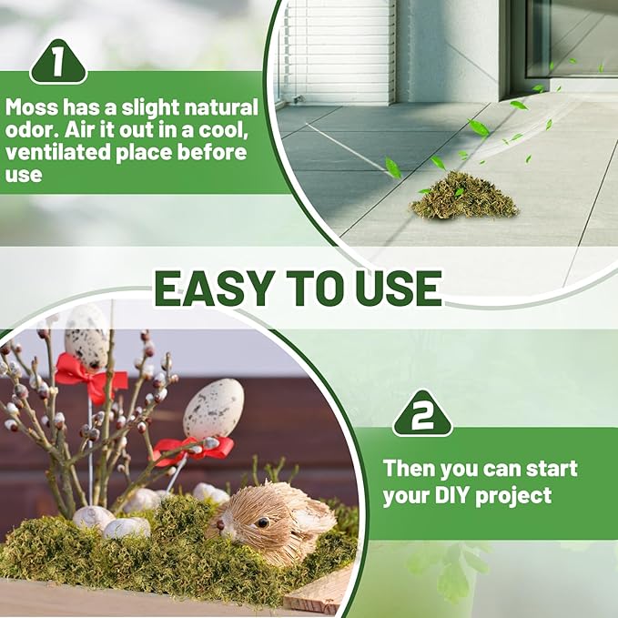 Alphatool 5oz Natural Green Moss for Crafts Beginners - Starter Moss for Plants Indoor, Artificial Fairy Gardens, Mini Mosswall, Glass Terrariums, Filling Fake Plants, Home Decoration