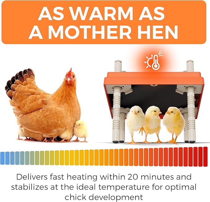 Large Chick Brooder Heating Plate 12" x 12" with Anti-Roosting Cone, Stepless Adjustable Height for Up to 25 Chicks, Energy Efficient Mother Hen Brooder for Poultry