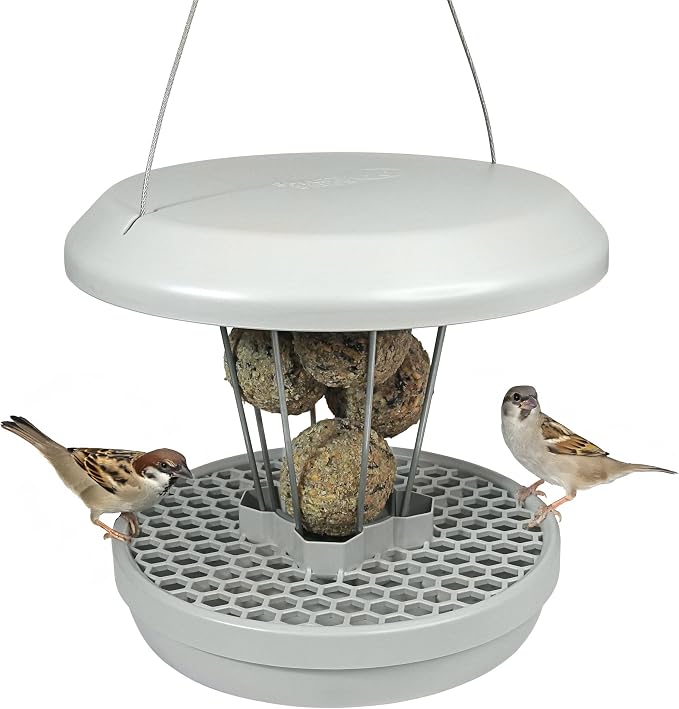 SWISSINNO Bird Feeders - No Mess Fat Ball/Suet Feeder for Outdoors Hanging - Smart Birds Lucerne Spill Proof Wild Cardinal Bird Feeder with Integrated Seed Catcher Tray - Light Grey