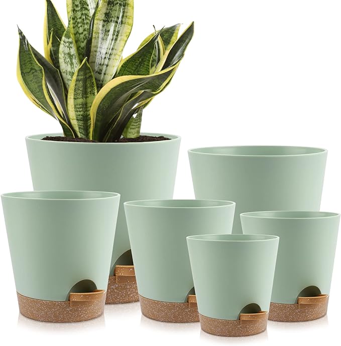 YNNICO Indoor Self Watering Planters with Drainage Holes and Saucers, 8, 7, 6.5, 6, 5.5, 5 Inches, Green, 6 Pots.