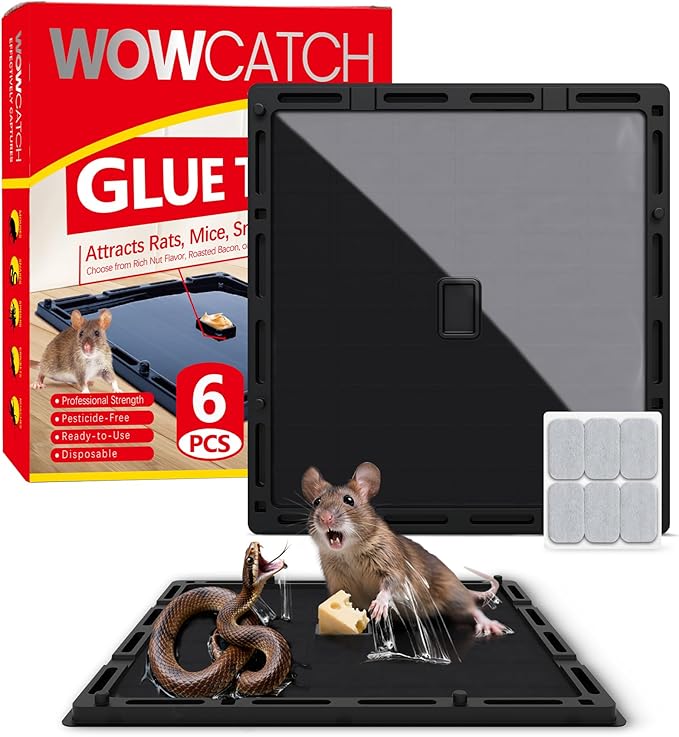 Wowcatch Jumbo Rat, Snake & Mouse Glue Traps - 6 Pack Extra Large Heavy Duty Sticky Traps Indoor for Home, Strong Adhesive Plastic Tray for Rodents, Non-Toxic Pest Control for House & Garage