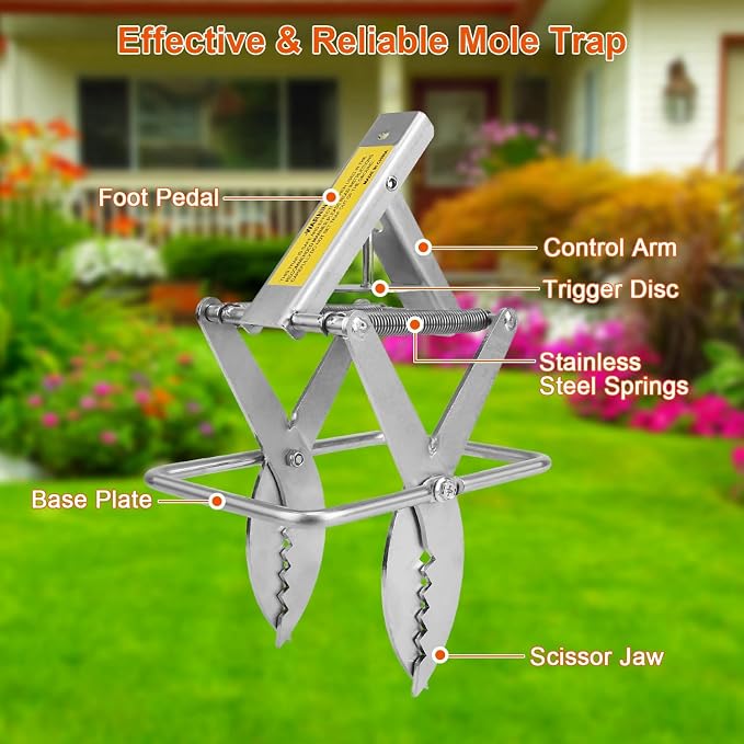 TeqHome 2 Pack Mole Traps, 2025 Upgraded Galvanized Steel Scissor Trap, Outdoor Reusable Gopher Traps Easy-Set Quick Capture Solution for Ground Moles and Gophers in Lawns Garden Yard (Silver)
