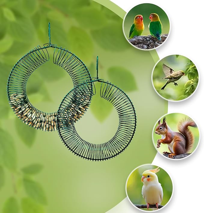 Peanut Bird Feeder, Hanging Feeder Round Metal Whole Wild Bird Feeder with Hanging Hook for Outdoor Birds and Squirrels Feeding Rust & Proof