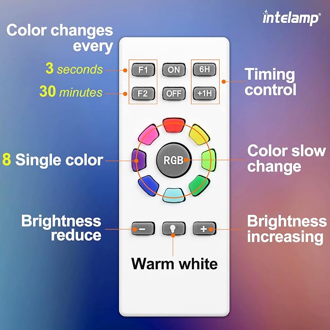 intelamp Solar Pathway Lights Outdoor, 2 Pack 9 Color Changing with Remote Control, Dusk to Dawn Solar Powered Waterproof LED Ground Lighting for House Outside Lawn Garden Yard Patio