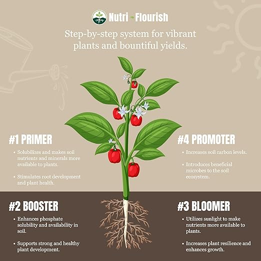 Primer and Bloomer – Natural Plant Enhancer | Soil & Root Support for Healthy Growth | Beneficial Bacteria Formula for Vegetables, Flowers & Ornamentals | Garden & Potting Mix, 2-Pack