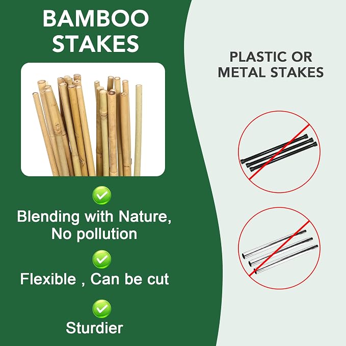 55 Pcs Bamboo Plant Stakes 6 Feet, Oltara Natural Bamboo Sticks Garden Stakes for Climbing Plants Support, Potted Plants, Vegetables,Tomatoes, Beans, Flowers, Trees