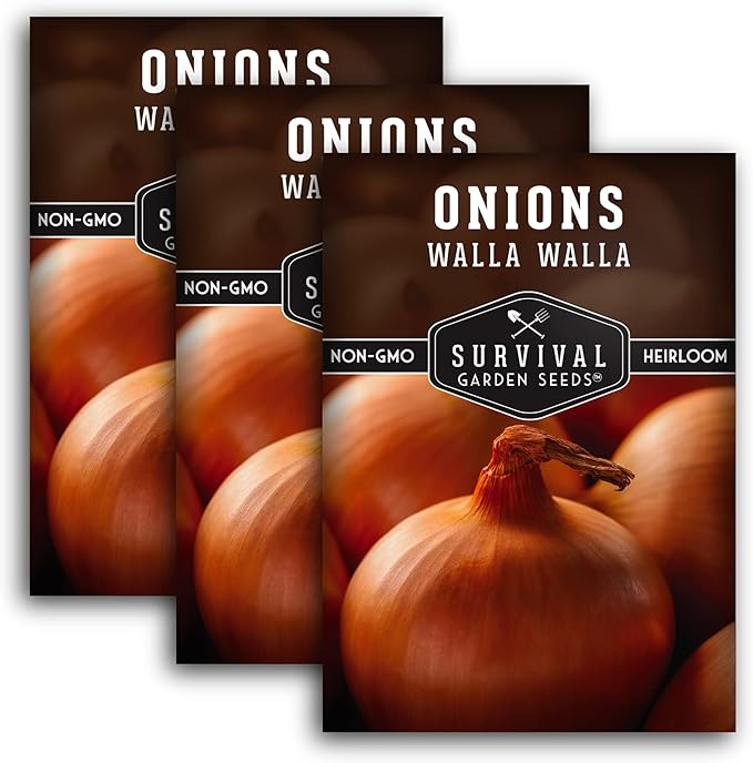 Walla Walla Sweet Onion Seeds for Planting – Long Day Yellow Sweet Onions with Mild Flavor, Large Bulbs & High Yields – Heirloom, Non-GMO, Open-Pollinated – Survival Garden Seeds (3 Packs)