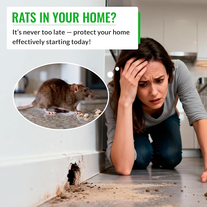 Mice&Co Professional Rat Bait Stations 4 Pack – Lockable Rodent Traps for Outside & Inside – Heavy Duty, Weather-Resistant Bait Boxes with Dual Entry – Tamper-Proof Design – Child & Pet Safe