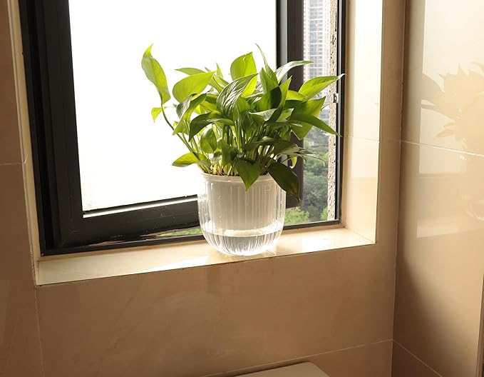Cornasee 6.5" Plastic Hanging Planter, 3-Pack Self Watering Pots for Indoor Plants,Herbs,Succulent,African Violets (Gray+Green+Clear)