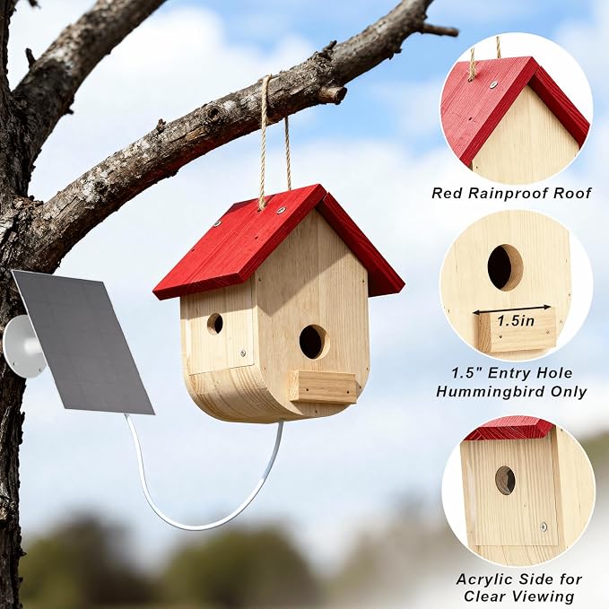 Hummingbird House with Camera Solar Powered