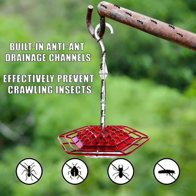 Hummingbird Feeder for Outdoors Hanging,Easy to Clean and Refill,Ant Proof No Leak,with 30 Feeding Ports Saucer Humming Bird Feeder Hummingbird feeders for Window (Purple)