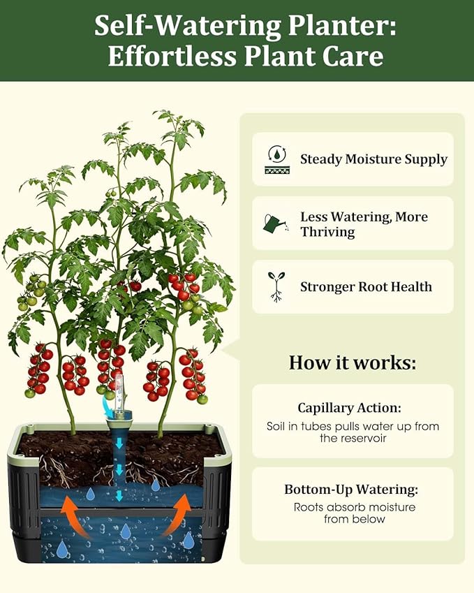 Self Watering Tomato Planter with Trellis, Rectangular Tomato Cages Trellis for Raised Garden Bed, Tomato Planters Box for Garden Pots Patio Indoor Outdoor (Rectangular, 1PC)