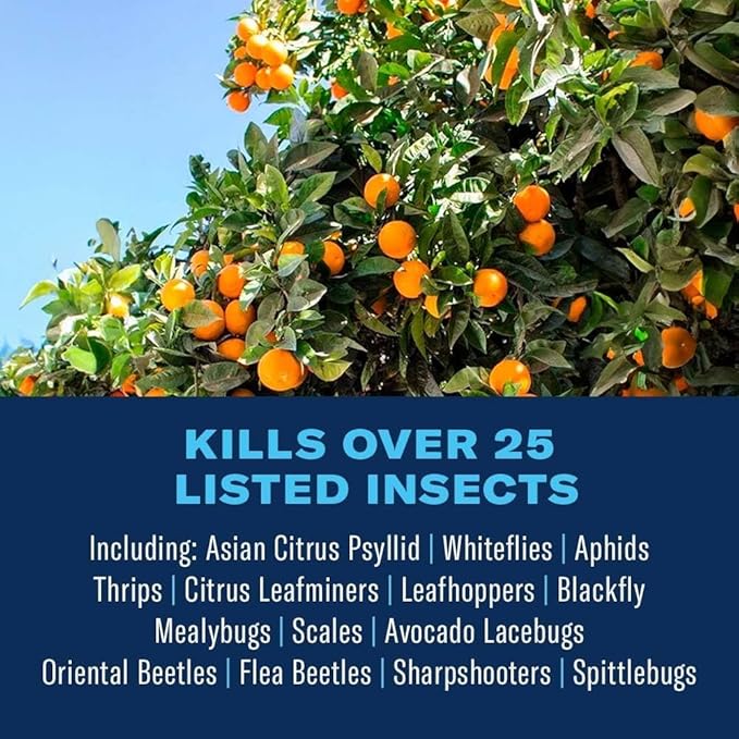 BioAdvanced Fruit & Citrus Tree Insect Control Concentrate - Pest Control for Gardens - 2 Month Infestation Prevention - Treats Up to 9 Fruit Trees - 32 oz Bottle