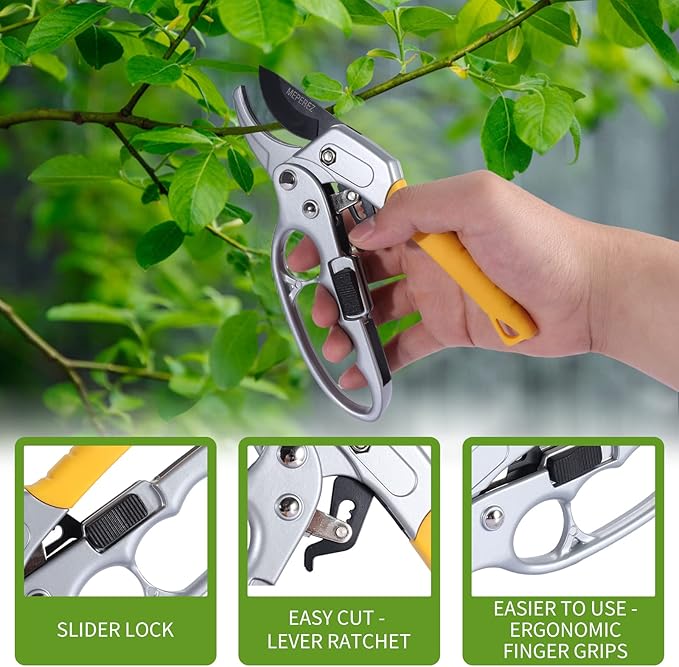 Quality horticultural pruning scissors & short axe set