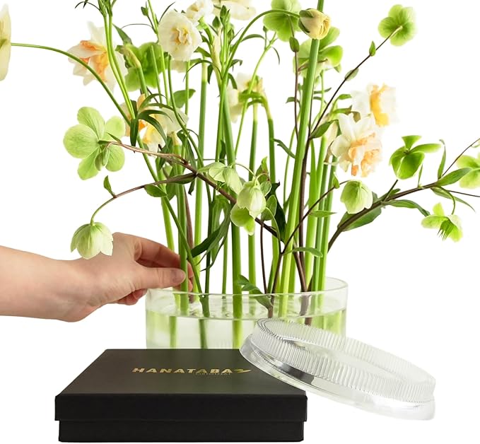 Flower Frog Ring 150mm/5.9" – Clear Plastic Kenzan-Style Arrangement Holder for DIY Floral Design, Ikebana, Home Decor & Wedding Centerpieces (1 Piece)
