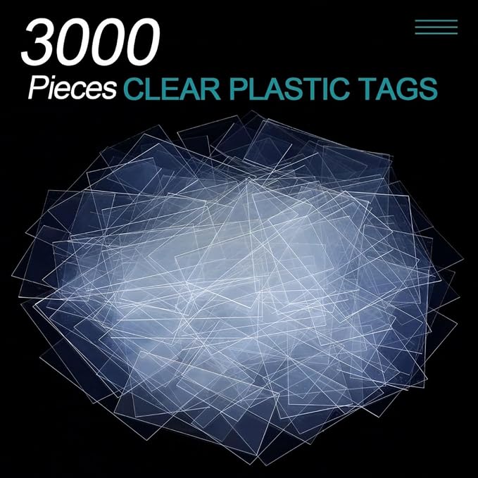 Leinuosen 3000 Pcs Clear Plastic Tags Bulk Shelf Price Tag Label Holders for Storage Bins Shelves Labeling Transparent Basket Bin Labels Display for Retail Shop Classroom Office Library (2.5 x 1.25)