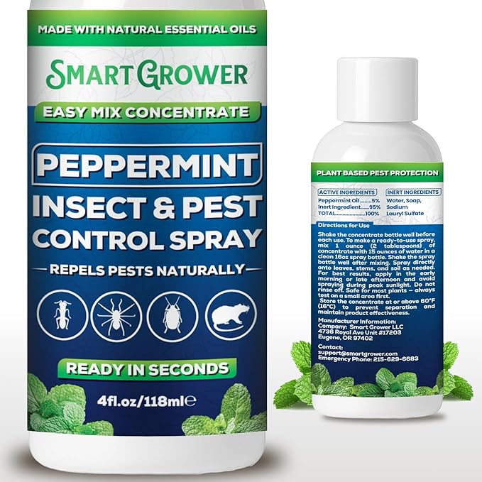 Peppermint Insect & Pest Control Best Value Concentrate - Repels Insects & Pests for Home, Indoor, Outdoor, Garden - Maximum Strength Concentrate (Makes Half Gallon RTU) 4 oz