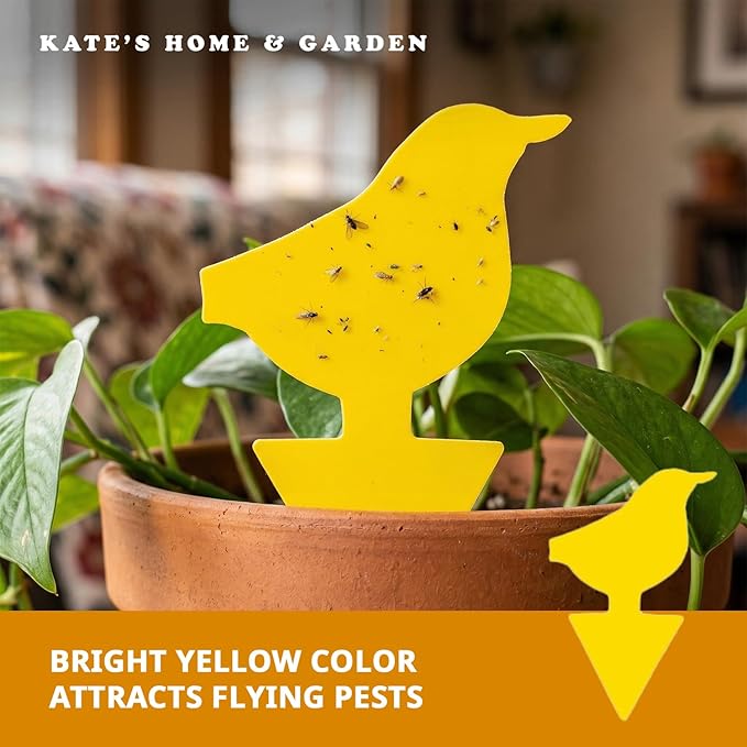 Kate's Home & Garden 36 Count Fruit Fly Traps for Indoors and House. Yellow Sticky Trap for Gnats, Mosquitos, Plants, Ants