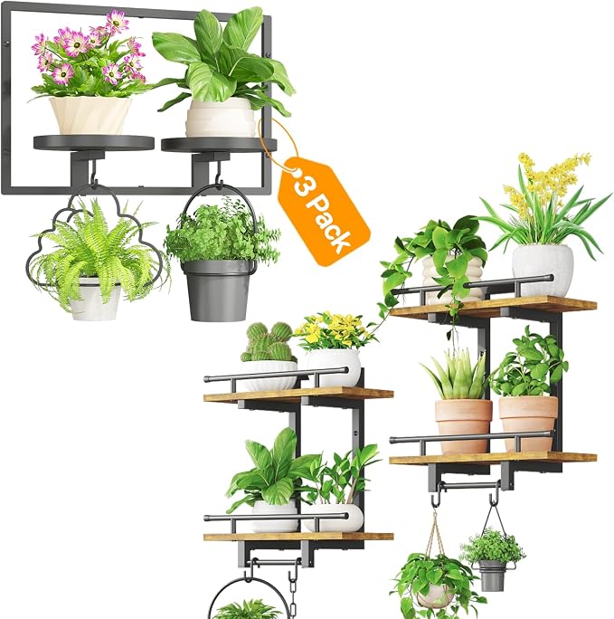 iDavosic.ly Wall Plant Holder Set of 3, 2-Tier Floating Shelves with Hooks, Metal Display Stand for Indoor Outdoor, Picture Frames, Living Room Decor, Space Saving (Pots/Chains/Plants Not Included)