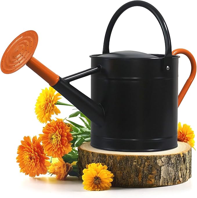Plexon Metal Watering Can Outdoor 1 Gallon, Flower Plant Gardening Garden Large Watering Can Pot Pitcher, Steel Orange Handles and Removable Spray Spout, Black