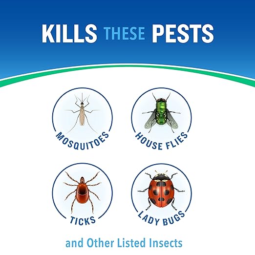 Cutter Bug Control Spray Concentrate | Kills Mosquitoes | For Insects | Pack of 2