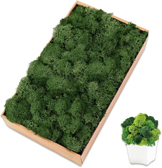 Preserved Reindeer Moss 7 OZ Dark Green Natural for Crafts, DIY Gift Christmas Decor, Wall Art, Potted Plants, Fake Moss for Easter Table Decor Wedding Decorative(7OZ, Dark Green)