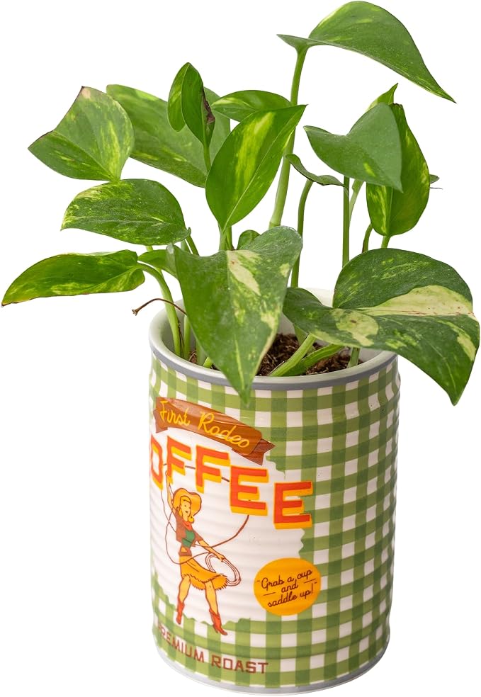 ban.do Ceramic Planter with Drainage Hole, Coffee Can | Vintage Inspired Plant Pot, Decorative Vase or Kitchen Utensil Holder, Cute Decor for Home, Kitchen, and Apartment