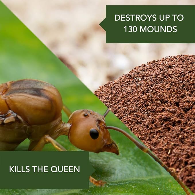 BioAdvanced Ant Killer Outdoor, Dust, 1 lb, 130 Mounds, Ant Powder Killer Outdoor (Pack of 2)