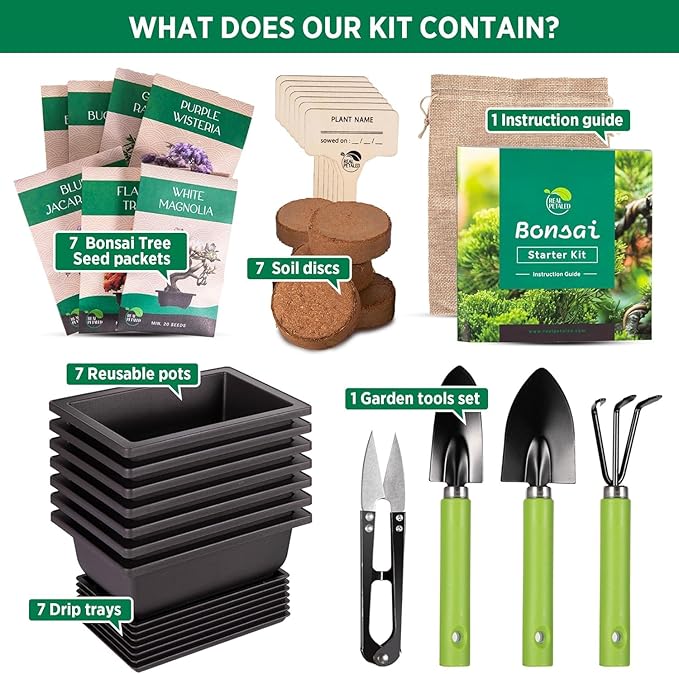 Bonsai Starter Kit – Japanese Bonsai Tree Kit 7 Seeds Pots – Complete Grow Your Own – Plant Lover Gifts Home Gifts for Men and Women