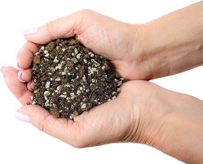 Gardenera African Violets and Gesneriad Premium Soil Mix - Horticultural Perlite (25%) + Vermiculite (25%) + Sphagnum Peat Moss (50%) - Made in USA - (2 Quart Bag)