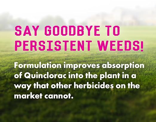 Pro Crabgrass & Grassy Weed Killer - 18.92% Quinclorac (Compare to Drive XLR8) – Concentrated Professional Crabgrass Herbicide – Quick Drying with Residual Control - 32 Ounces