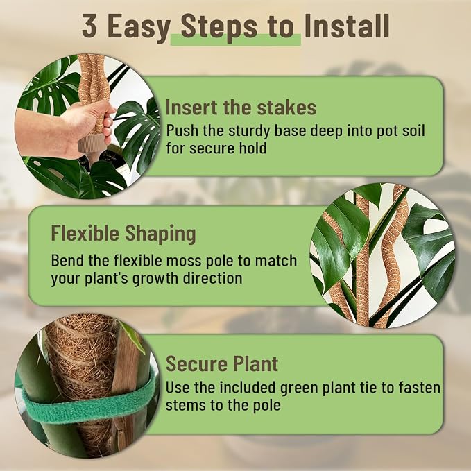 3-in-1 Moss Pole, Bendable Monstera Plant Support, 30Inch Moss Poles for Climbing Plants, Plant Stakes for Indoor Plants, Plant Support for Monstera, Pothos - 1 Pack