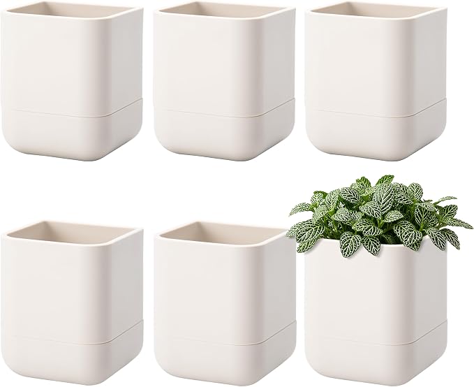 Phoenix Vine 3.5 Inch Wall Mounted Self-Watering Planter Pot for Indoor Houseplants and Herbs | Hanging Planter for Window Sills, Bathroom Walls, Home & Office Décor, Oatmeal, Set of 6, 01-A-G-6