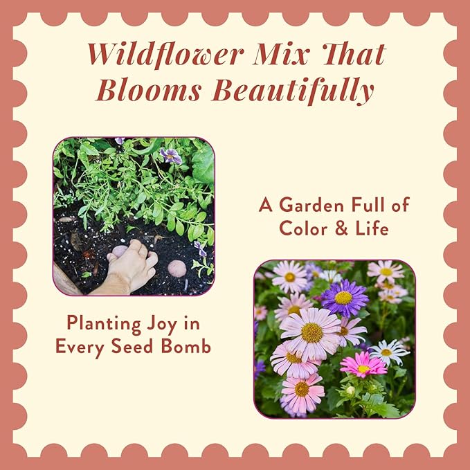 Modern Sprout Wildflower Seed Ball Poop - Eco-Friendly Gift - Non-GMO Hand-Rolled Clay Seed Bombs with Wildflower Seeds - Plop Plant & Grow Gardening Gift Set for All Occasions (Jingle Plop-Pack of 3)