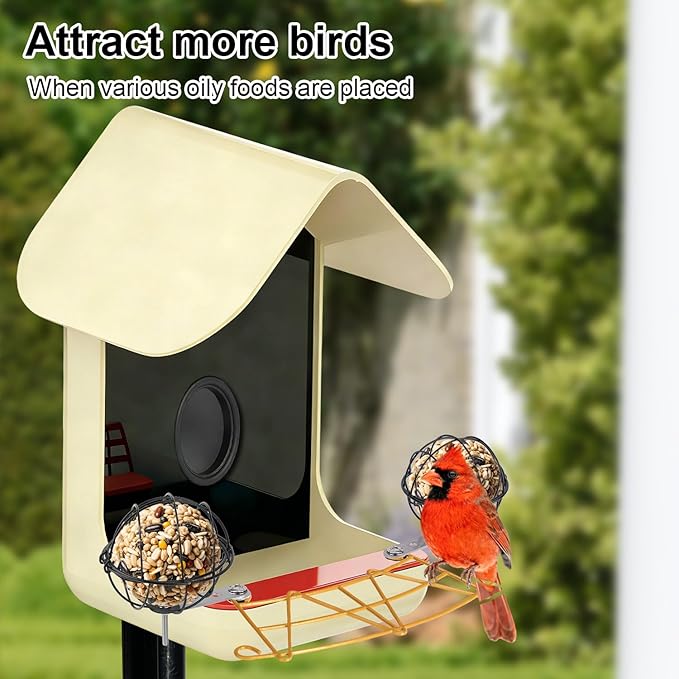 2pcs Suet Ball Holders, Alloy Bird Suet Ball Cage with 2 Fixed Connection Accessories & 4 Screws Durable Bird Feeder Accessories for Outdoor Birds Feeders